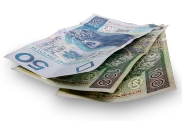 Czy Polsce grozi kryzys finansów publicznych?