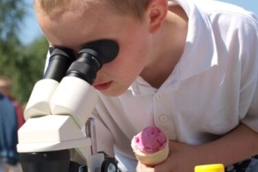 Czy widziałeś włoski na odnóżach owada? Ekomobil Jeżowóz zaprasza 