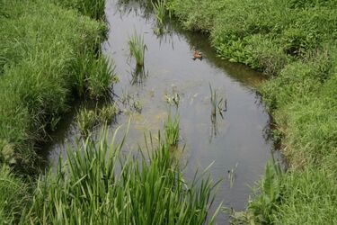 Kolejna część doliny rzeki Białej będzie chroniona
