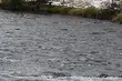 Samochód wpadł do rzeki. Kierowca trafił do szpitala
