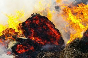 Pijany podpalił kopiec siana, zajęły się budynki