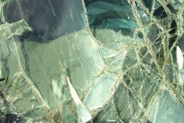 Wypadek z łosiem. Kobieta w ciężkim stanie trafiła do szpitala