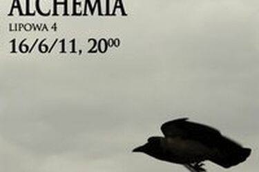 Alchemia. Koncert Newspaperflyhunting