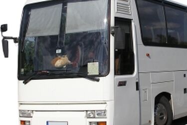 Białystok: pijany kierowca chciał wieźć studentów na drugi koniec Polski