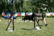 Miasto Przyjaciół - zawody agility. Święto psów sportowych