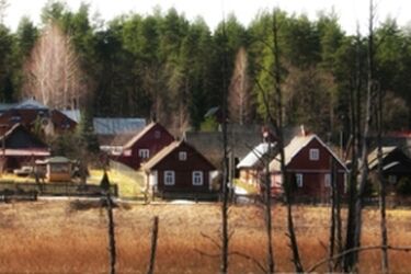 Piknik koński - Dzień Sokola