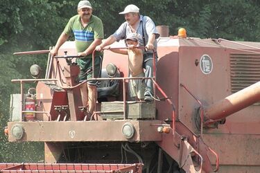 Jak uniknąć wypadków podczas żniw? Rady dla rolników