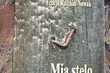 Białostoccy esperantyści wrócili ze Światowego Kongresu w Kopenhadze