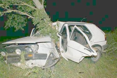 Golfem w drzewo. 19-letni kierowca i jego młodszy kolega trafili do szpitala