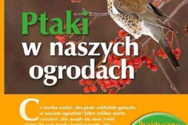 Ptaki w naszych ogrodach - nowe wydawnictwo