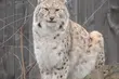ZOO. Kolejny etap modernizacji będzie kosztował 3 mln zł