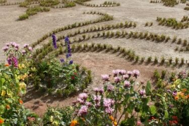 Lato z zabytkami. Bezpłatne zwiedzanie pałacyku gościnnego i ogrodów Branickich 