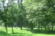 Miasto zaprasza do wspólnego sprzątania świata