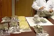 Zatrzymano białostoczan handlujących na szeroką skalę narkotykami