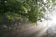 Narysuj, namaluj, sfotografuj, czym dla Ciebie jest przyroda