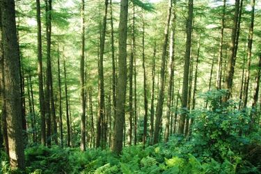 Ekologiczny konkurs dla gimnazjalistów