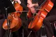 Nowa odsłona edukacji muzycznej w Operze i Filharmonii Podlaskiej. Na próby generalne zaprasza młodzież