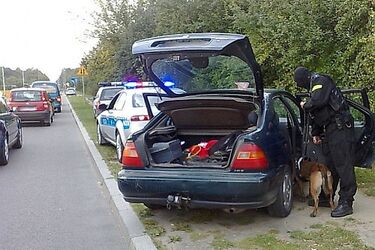 Akcja policji na białostockiej giełdzie samochodowej