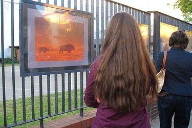 Sztuka na Fabrycznej, czyli nowa odsłona "Galerii na płocie"