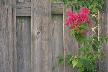 Mieszkańcy Bojar zagłosowali za utworzeniem parku kulturowego