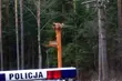 Mężczyzna zginął przygnieciony drzewem