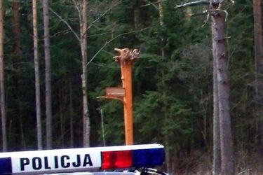 Mężczyzna zginął przygnieciony drzewem