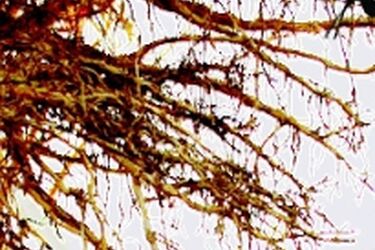 Białystok: można zgłaszać nominacje do najlepszej książki 2011