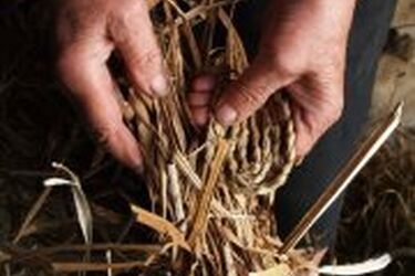 Niech się plecie. Wystawa i warsztaty wikliniarskie w Supraślu