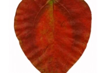 Spotkanie "Trudna miłość" w Galerii Sleńdzińskich