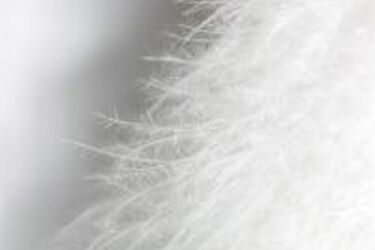 Białostoccy diabetycy otrzymją Anioły