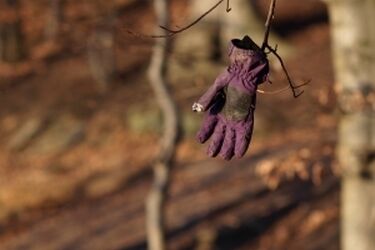 Mogli zamarznąć. Na szczęscie w porę powiadomiono policję