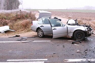 Polonez uderzył w drzewo. Kierowca zginął na miejscu