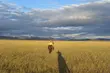 Ciekawi świata. Mongolia konno