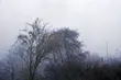 Straty spowodowane wichurami oszacowano na 342 tys. zł.