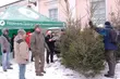 Sam wybierz swoją choinkę. Weekendowa akcja leśników