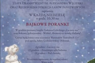 Ostatnie grudniowe "Bajkowe Poranki"