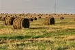 Nowy dyrektor w Ośrodku w Szepietowie