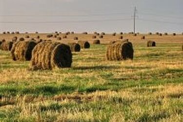 Nowy dyrektor w Ośrodku w Szepietowie