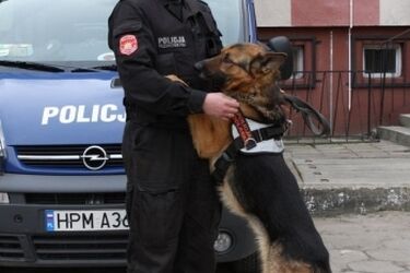 Pies wytropił złodzieja okradającego białostocką budowę
