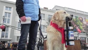 WOŚP. Orkiestra zagrała z pompą