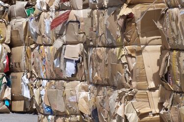 Podlaskie samorządy dostaną 70 mln zł na działania proekologiczne