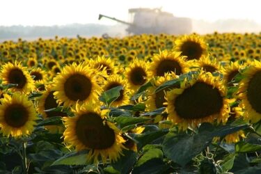 Bezpieczne gospodarstwo rolne. Konkurs dla rolników