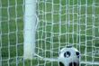 Byli piłkarze Jagiellonii będą wspólnie trenować Dąb
