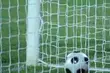 Byli piłkarze Jagiellonii będą wspólnie trenować Dąb