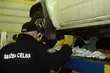 Pomysłowi przemytnicy na granicy z Białorusią