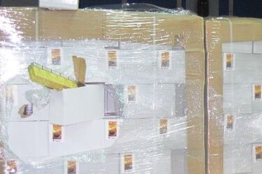 Duży papierosowy przemyt w ładunku kawy zbożowej