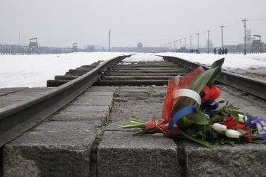 67. rocznica wyzwolenia obozu zagłady Auschwitz-Birkenau