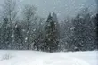 Śnieg i silny wiatr, a w weekend odwilż
