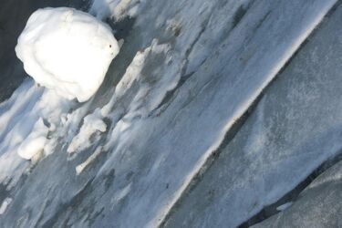 Pogoda: ślisko, wietrznie, niebezpiecznie