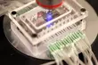 UwB otworzył Centrum Syntezy i Analizy BioNanoTechno